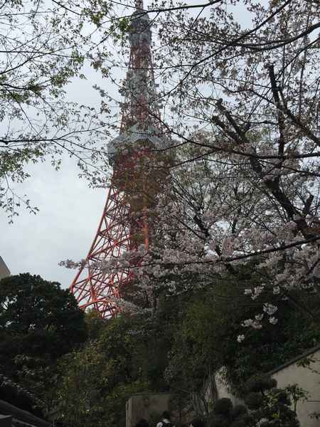 顔合わせ 芝とうふ屋うかい Travel Photo Diary 旅と酒と音楽と 顔合わせ 芝とうふ屋うかい Travel Photo Diary 旅と酒と音楽と