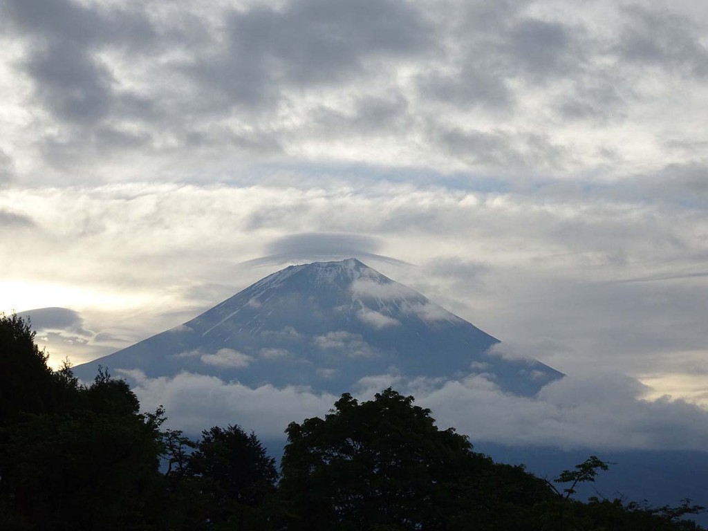 富士山 ルートを替えて正解だった 山の花 里の花に心癒されて