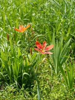 P8040014