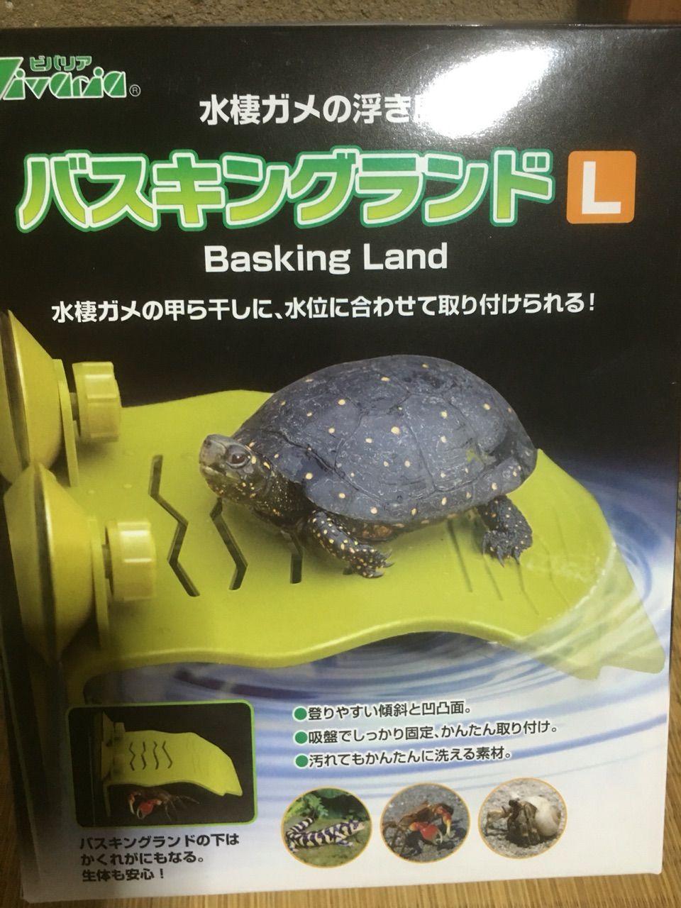 バスキングランドl 追加購入しました 愛亀日記 アカミミガメ保護保養所の亀さん達