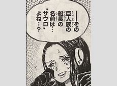 【ワンピース】最新1133話の感想まとめ！涙必須の感動回！