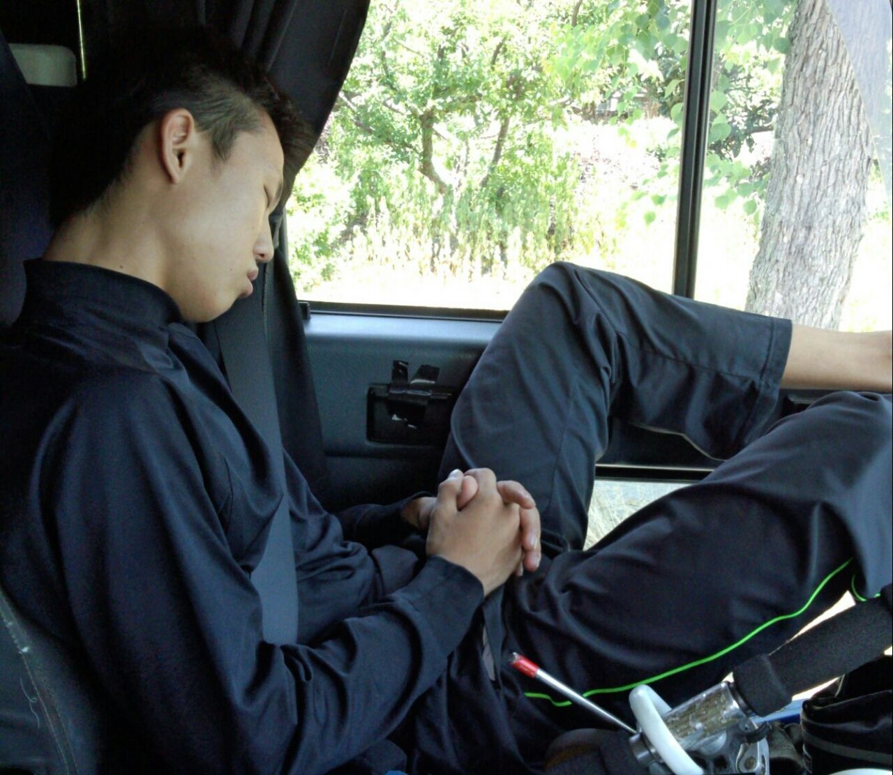 ありゃw W 晴れ時々クワガタ