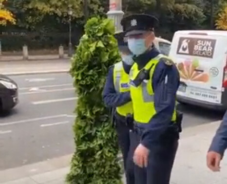 アイルランドの女性警官、植物にビビり叫んでしまうｗｗｗｗｗｗｗｗｗｗｗｗｗ
