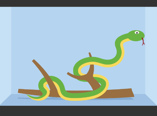 【珍しい動画】ヘビはこうやって木に登っていくんだね