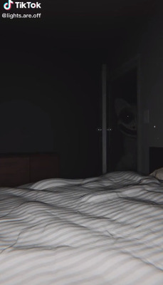 夜中に見るとヤバイ動画