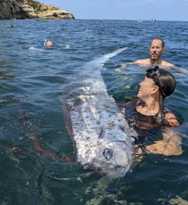 【不吉の前兆】南カリフォルニアで「終末の魚」発見、その2日後に地震が発生