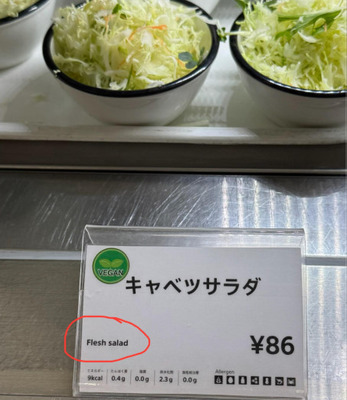 【海外の反応】日本では肉のサラダがキャベツと人参だけだった