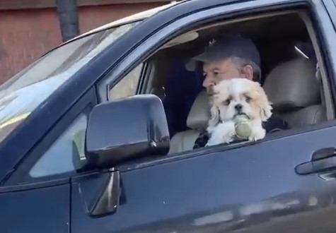 【悲報】ワンコ「ドライブ楽しいワン」隣の車「わんちゃんカワイイ！！！あっ・・」