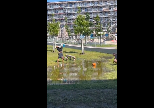 【動画】男「絶対に靴を濡らさないでボールをとってやるｗｗｗ」