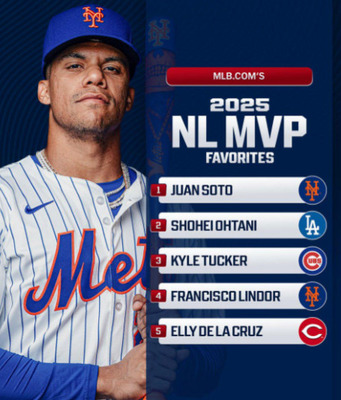 【海外の反応】大谷翔平を抑えてファン・ソトが1位なんてあり得ない