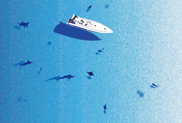 なぜ遠い宇宙の調査は進んでるのに水深7,000mの深海は調査が進まないのか
