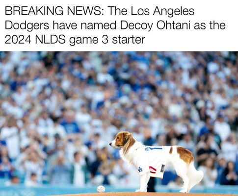 大谷翔平のデコイ（デコピン）が未だにドジャース先発投手だと信じてる人