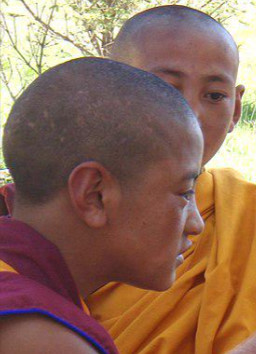 【画像】アジア僧侶「白人はマジで毛深いな・・・」