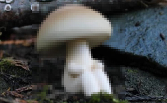 yyy