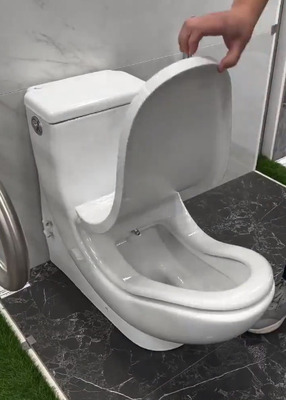 海外「これが究極のトイレらしいけど使いたくないな」