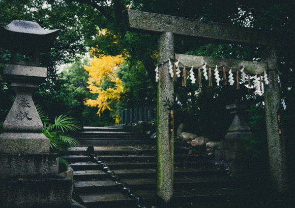 【謎】夜の神社はヤバイから行くな
