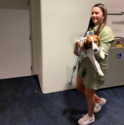 【もう一人の主役】大谷翔平の愛犬、デコピンがパーティ会場へ移動