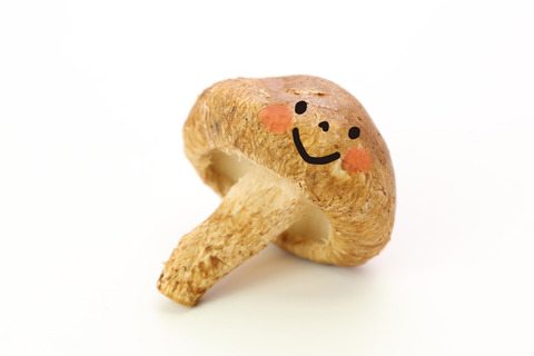 しいたけ自分で栽培したら汁物にも使えるし具にも使えるし出汁とれるし最高やｗｗｗｗ　➡