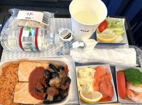 【海外の反応】これが日本のANAで出される機内食か、でもなんだかちょっと違うな