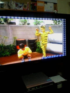 笑う犬 はちみつイーシャンテン