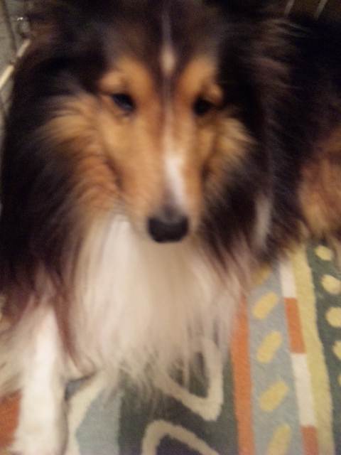 ピースくん 勝利の女神に後ろ髪わないｯｯｯｯｽ