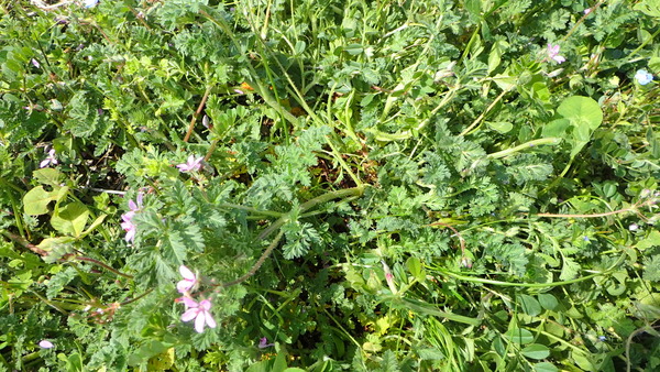 P3180026