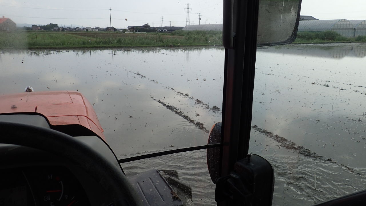 代かき作業 田舎のかえる