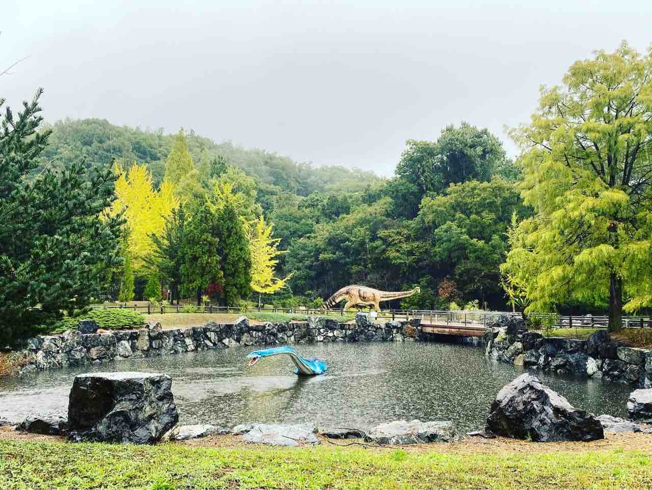 カブトガニ博物館は 雨 笠岡市議会議員 まなべ陽子のブログ 笠岡 カブトガニ博物館は 雨 笠岡市議会議員 まなべ陽子のブログ 笠岡