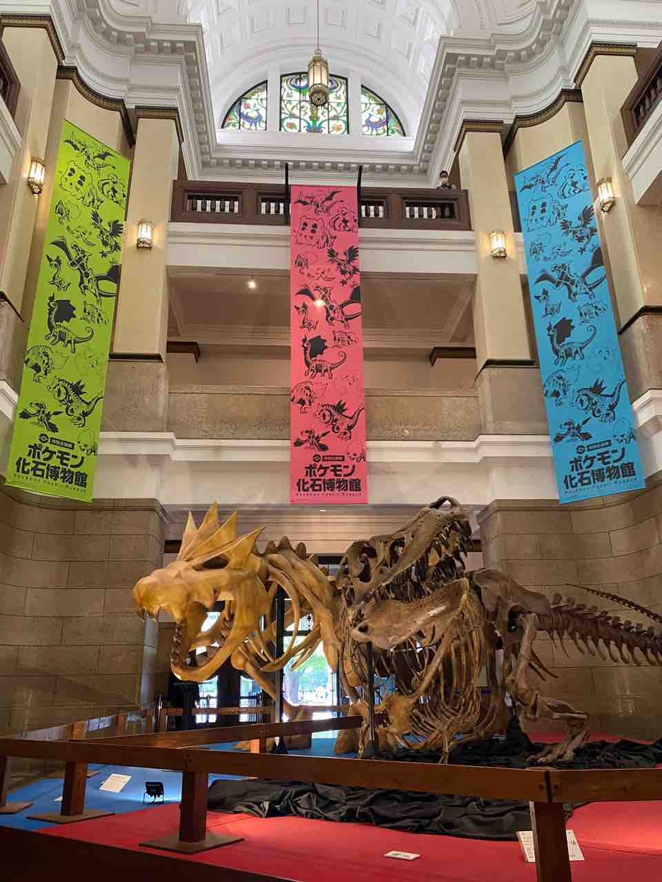 ポケモン化石展 国立科学博物館 笠岡市議会議員 まなべ陽子のブログ 笠岡