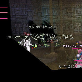 ブルーリザードウィッチ 画像