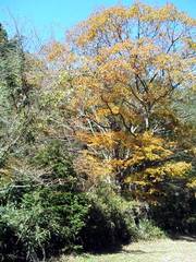 a5098b8b.jpg
