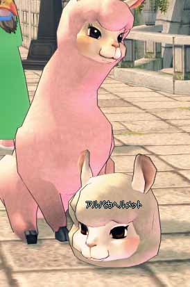 アルパカ