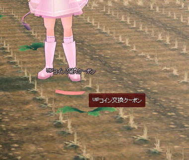 VIPコイン交換券