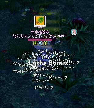 ホワイトハーブ