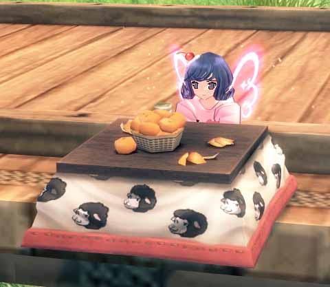 キャラバン・ジョーと一緒にくつろぐコタツ