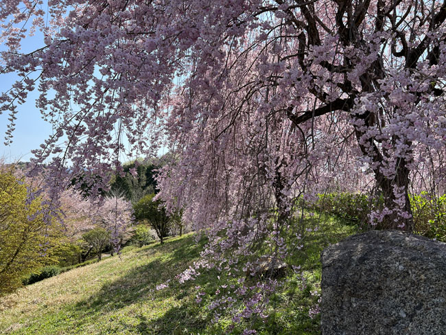 そのまんま公園恋咲島より恋咲島