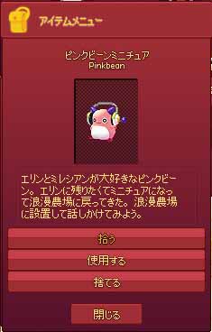 ピンクビーンミニチュア