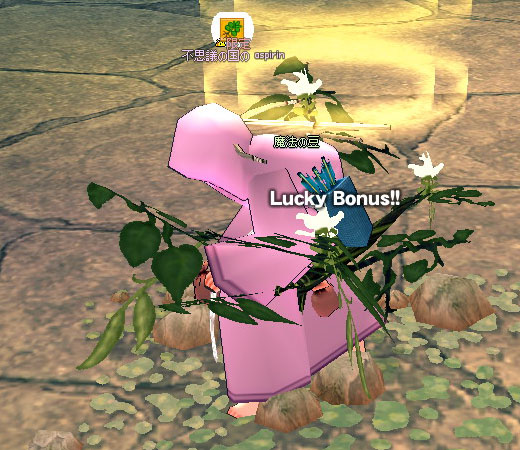 Lucky Bonus!!