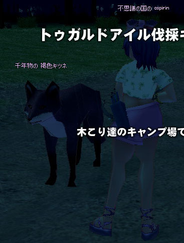 千年物の 褐色キツネ