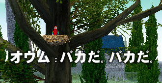 オウム