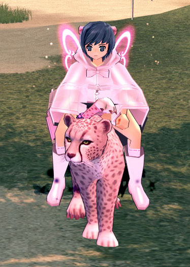 ネコ科