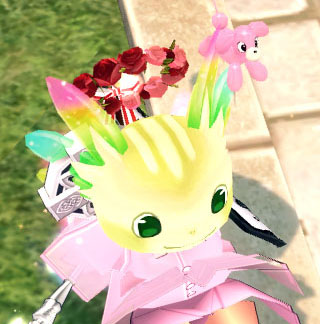 リスヘルメットwww