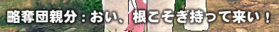 おい、根こそぎ持って来い！