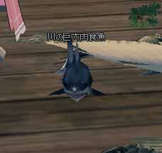 (>ω<)