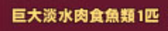 巨大淡水肉食魚類