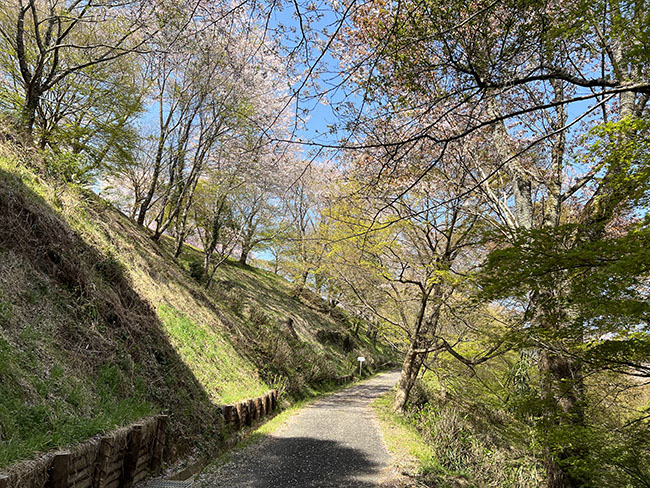 そのまんま公園へ入る