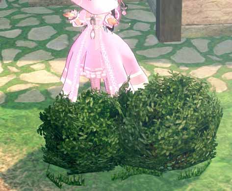 ティルコネイルの草