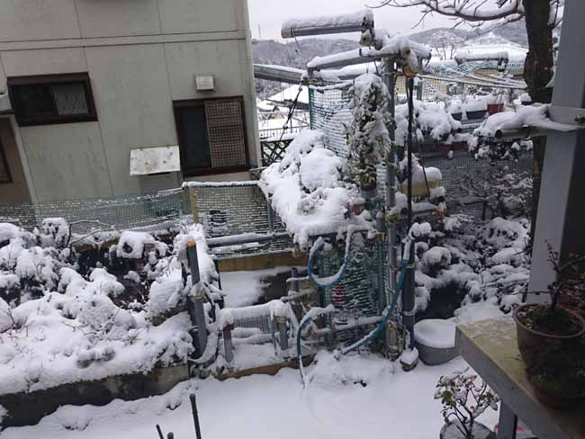 積雪の好き勝手