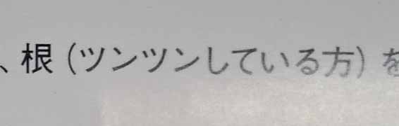 ツンツン