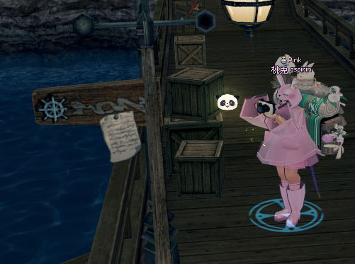 パンダのトイカメラｗ